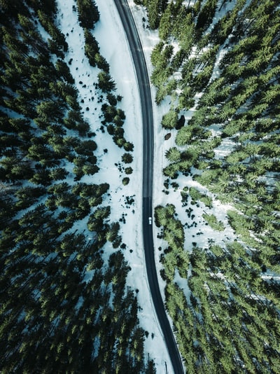 树木环绕道路上的航拍车